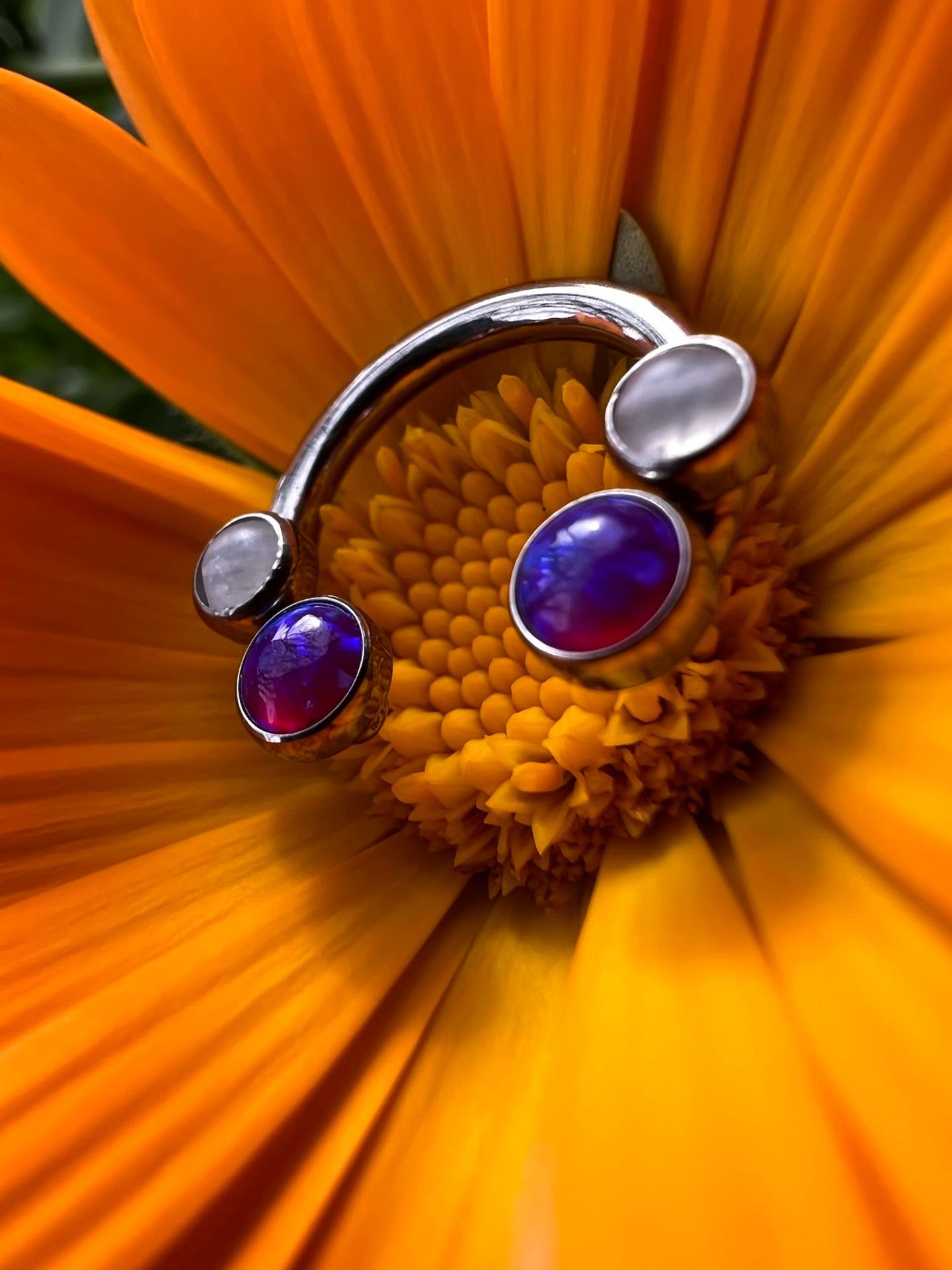 Joyeria septum 2024 01 19 18 02 51