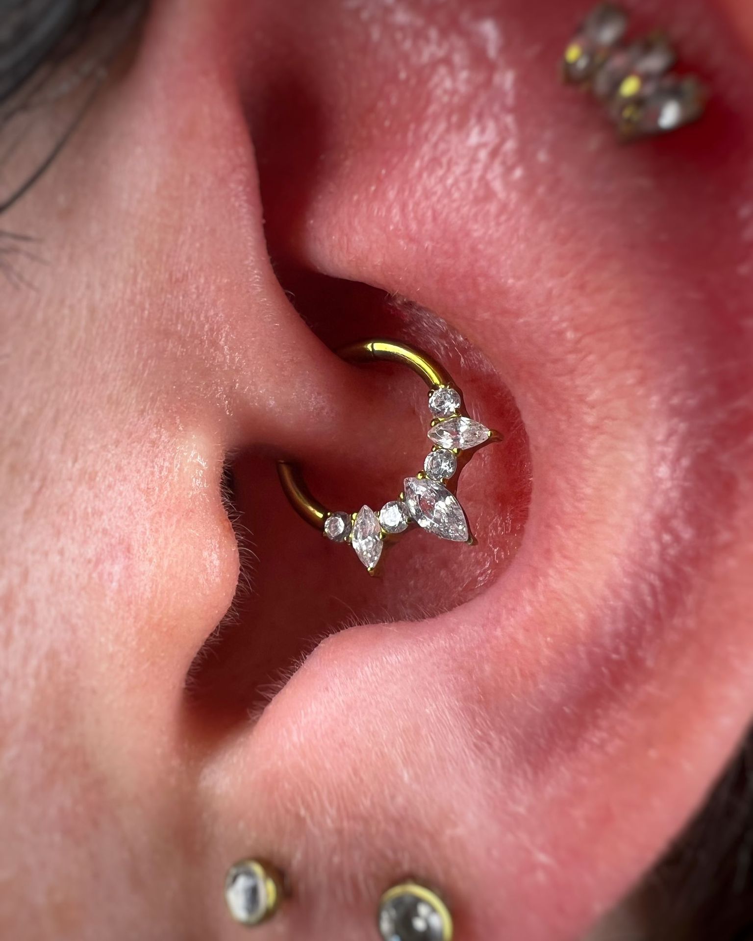 Piercing disenos personalizados 2024 01 19 17 54 31