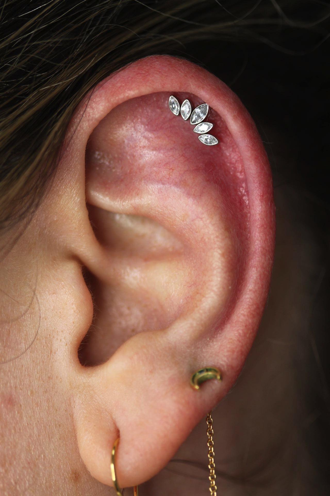 Piercing disenos personalizados 2024 07 25 13 46 21