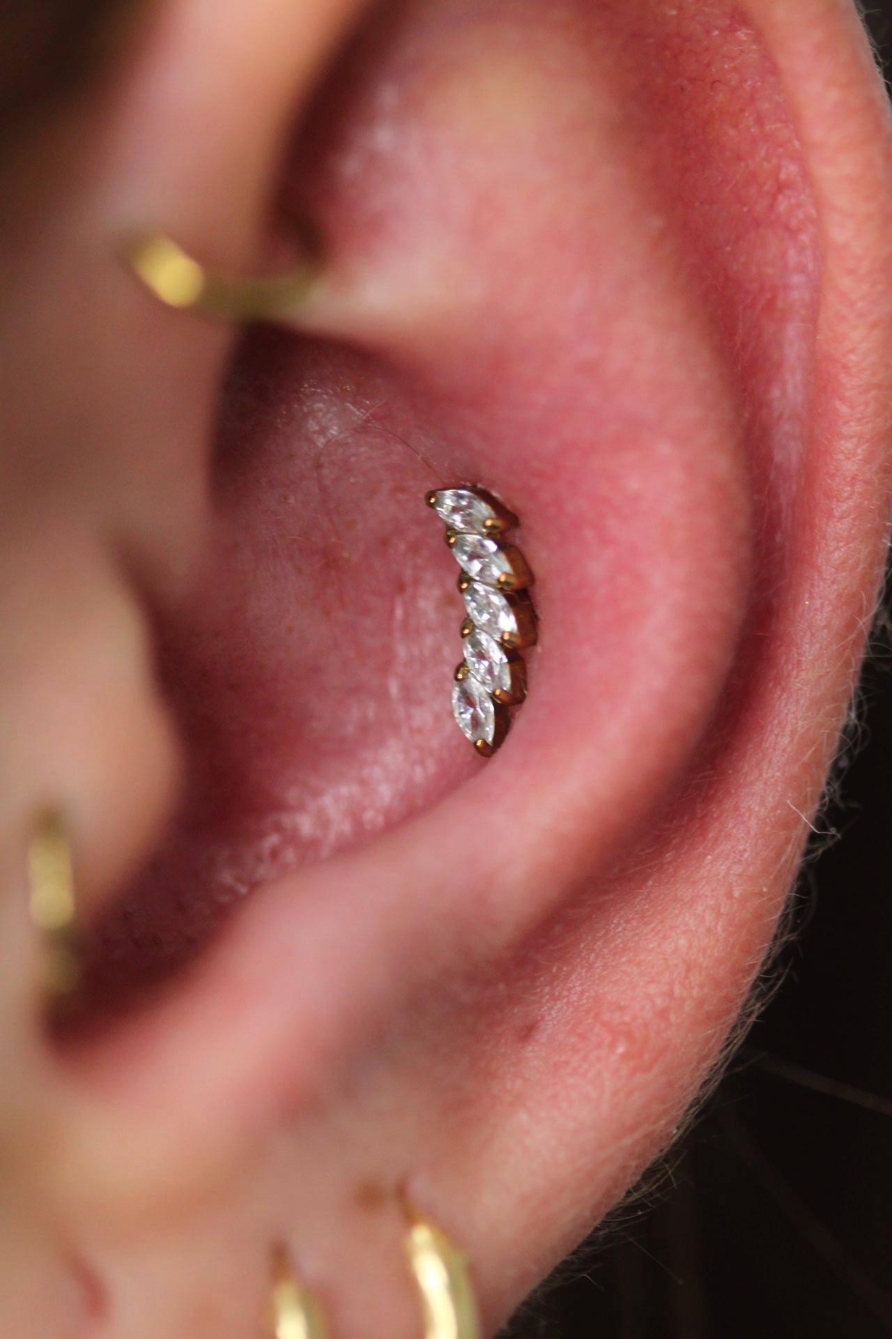 Piercing disenos personalizados 2024 09 03 20 41 44