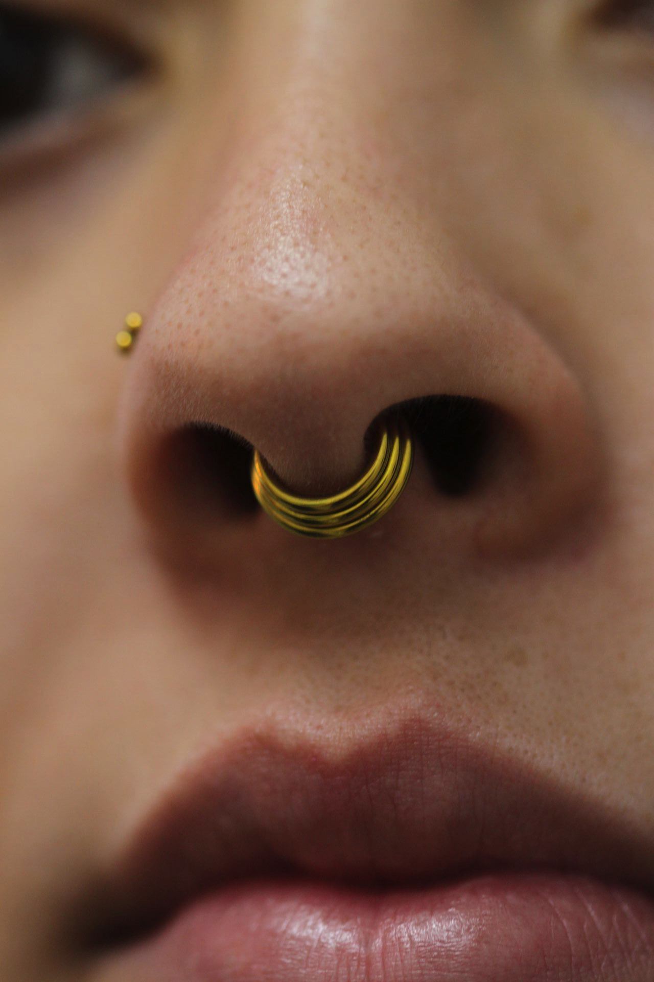 Piercing nostril septum 2024 09 18 12 11 27