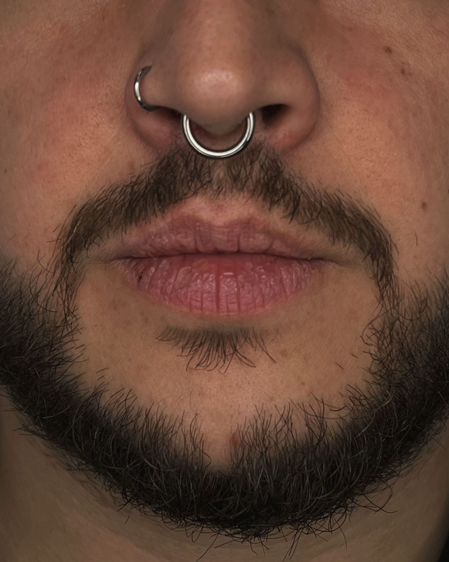 Piercing nostril septum 2024 09 24 20 56 31