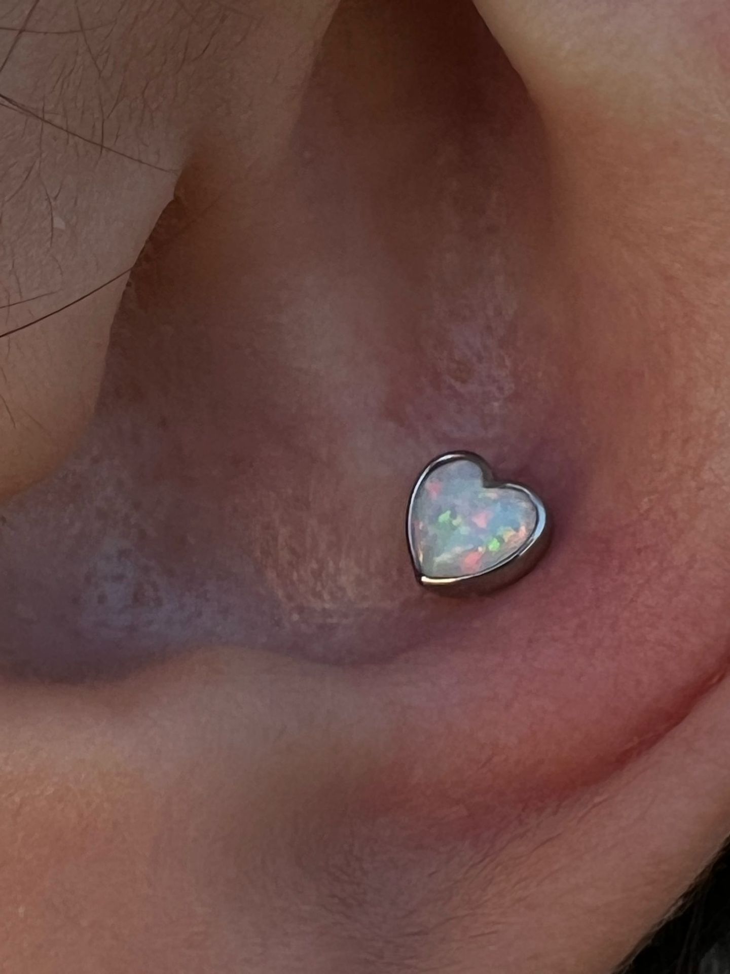 Piercing oreja 2024 03 06 19 34 34