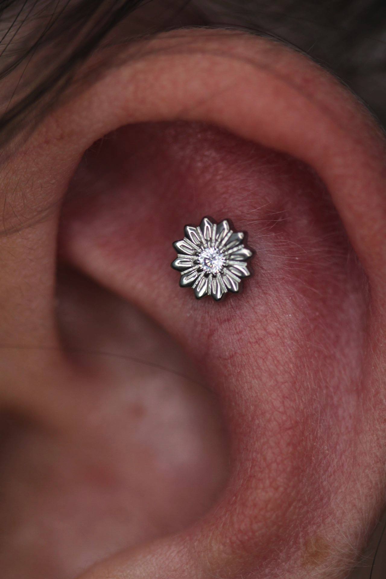 Piercing oreja 2024 07 31 19 04 42